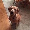 fannie.jacobsondarre - @fannie.jacobsonda - TikTok