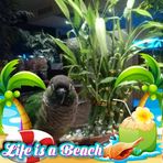 Fannie Lam - Facebook