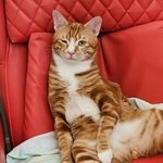 Fannie Lam - @fannielam12345 - Instagram