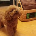 Fannie Lam - Facebook