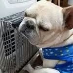 Fannie Lin - @fannie.lin.906 - Instagram