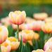 Fannie B Mann - Facebook