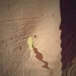 @fanniepark - Instagram