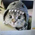 Patrick Fanniere - @patrickfanniere - Instagram