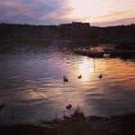 Fannie Rector - @aluterned - Instagram