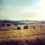 Fannie Rector - @truckdonamp - Instagram
