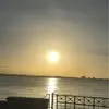 fanniectorres - @fannie6403 - TikTok