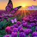 Frannie Stanton - Facebook