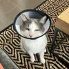 fannie - @fannie.dst - TikTok