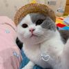 fanniewang141 - @fanniewang141 - TikTok