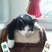Fanny Benoit - Facebook