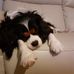 Fanny Cheung - Facebook