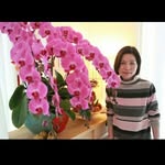 Fanny Cheung - @fanny_cheung_0301 - Instagram