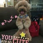 Fanny Cheung - @fannycheung95 - Instagram