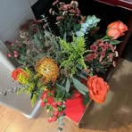 Fanny Collins - Facebook