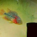 fanny hermansyah - @fanny.hermansyah - Instagram