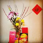 Fanny Ho - @fanny_ho - Instagram