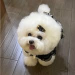 Fanny Ho - @fannyho0201_ - Instagram