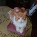 Fanny Ortiz - Facebook