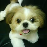 Fanny Poon - @poon7610 - Instagram