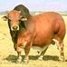 Stols Fannie Nkomo - Facebook