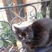 Fanny Sutton - Facebook