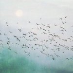 梁晓彤就是花花 - @fannysweet - Instagram