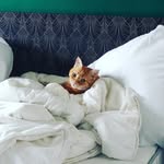 Fanny Thomas - @fannythomas357 - Instagram