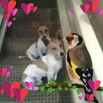 Finny Walsh - Facebook