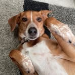 Fiona Walsh - Facebook