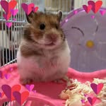 Liang Meifren - @fanny_winnie_the_pooh - Instagram