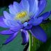 Fanny Yip - Facebook