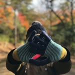 Fanny Yip - @fannyyip - Instagram