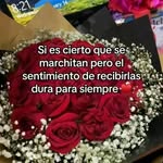 Fanny Zarco - @zarco.fanny - Instagram