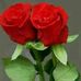 Fany Aleman - Facebook