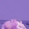 Fany Lopez - @fany.lopez62 - TikTok