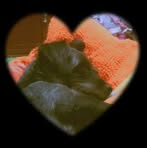 Fany Rios - Facebook