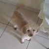 Fara Avila459 - @faraavila459 - TikTok