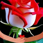 Misalis Pedroso Blanco - Facebook