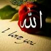 Farah Anwar - @farahanwar05 - TikTok