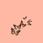 farah .Azzam - @bydlthlj2685 - Instagram