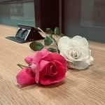 Farah Azzam - @nr_farah_azzam - Instagram