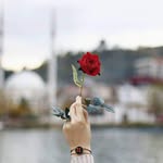 Farah Ali - @farahcheema_12 - Instagram