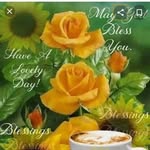 Farah Cheema - @farah.cheema.560 - Instagram