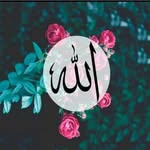 Farah Cheema - @naqvinudrat - Instagram