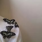 Farah Jaleel - Facebook