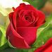 Farah Jamal - Facebook