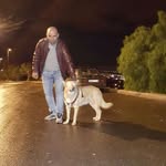Farah Jamal - @farah.jamal.1485537 - Instagram