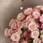 Farah Jamal - @farahjamal424 - Instagram