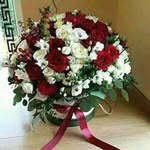 Farah Jamali - @farah.jamali.902 - Instagram